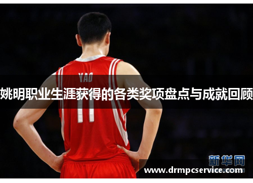 姚明职业生涯获得的各类奖项盘点与成就回顾